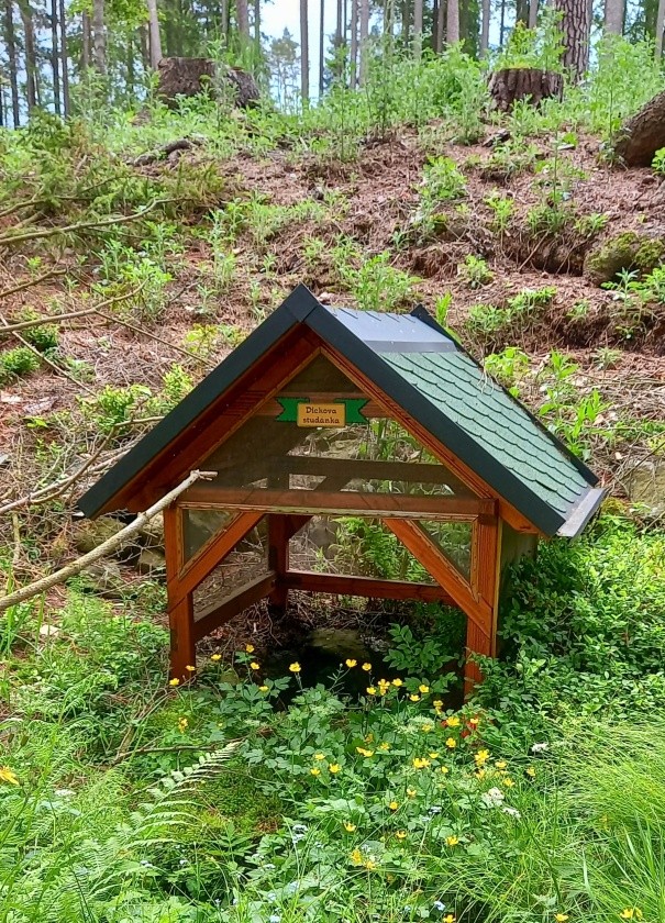 Dickova studánka (15222) - květen 2024