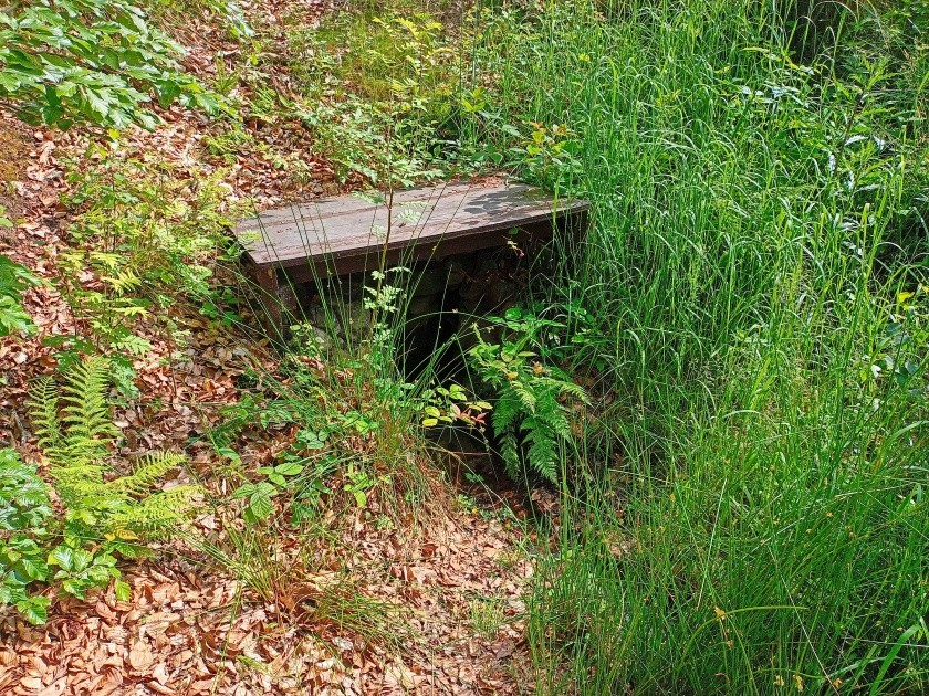 studánka Pod Vrátenkou (15223) - červen 2024