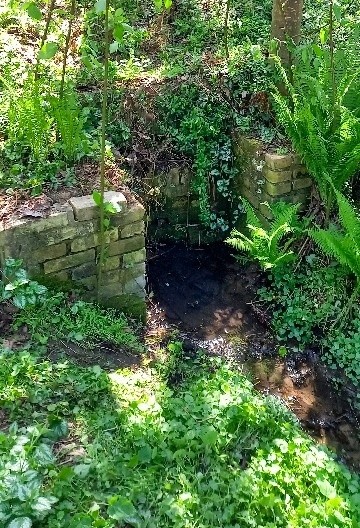 studánka Záběhlice - zahrádky (15224) - duben 2024