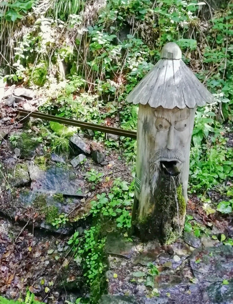 studánka bez jména (15252) - červen 2024
