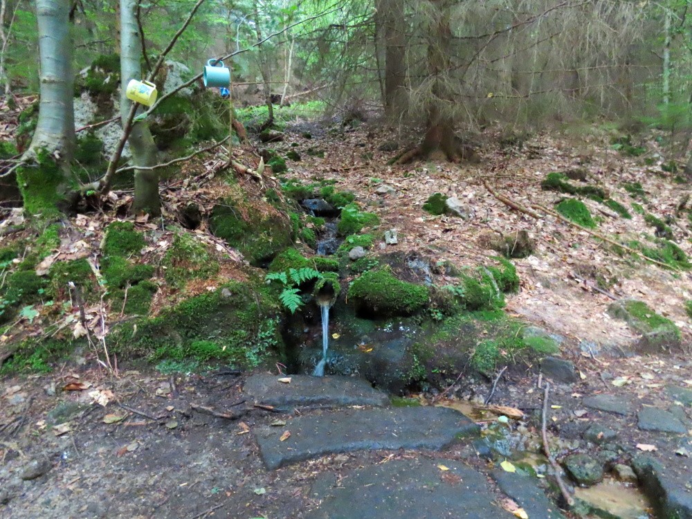 studánka Pod Šefelem (15303) - srpen 2024