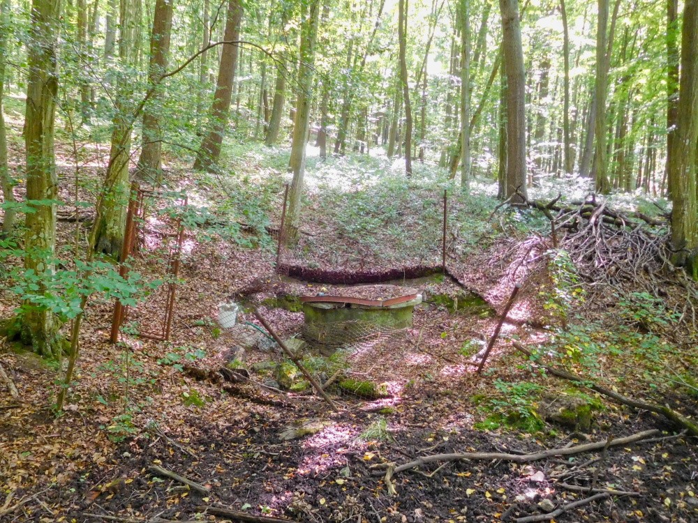 studánka U Truhly (15306) - srpen 2024