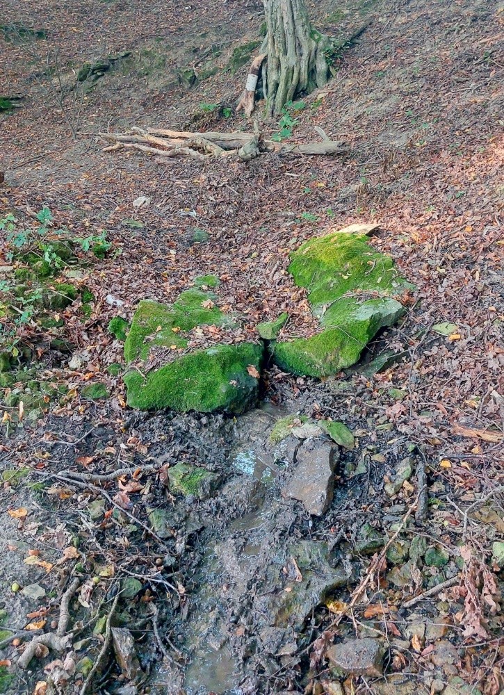 Šupácká studánka (15316) - září 2024