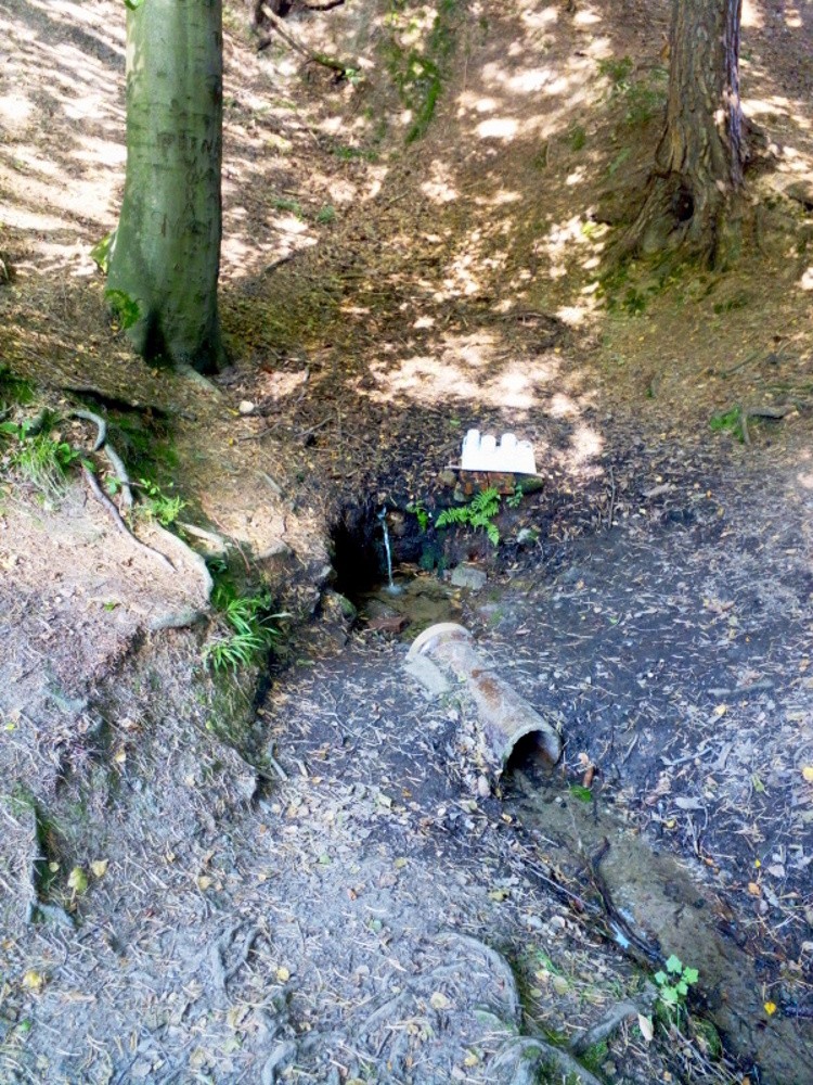 studánka bez jména (15318) - září 2024