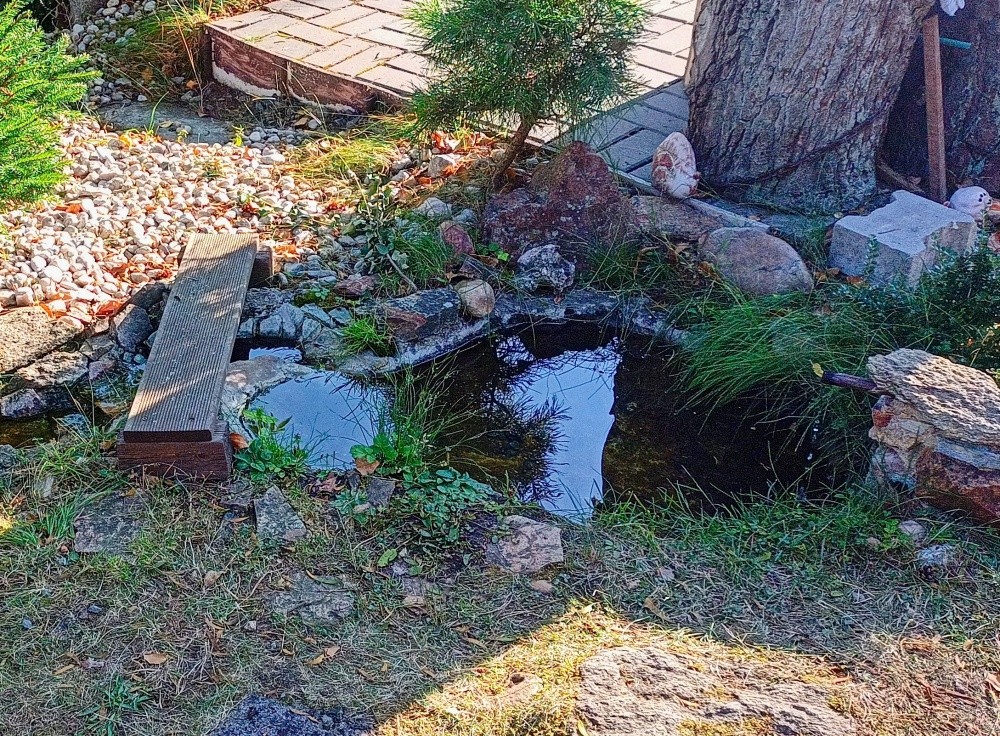 studánka bez jména (15322) - červenec 2024