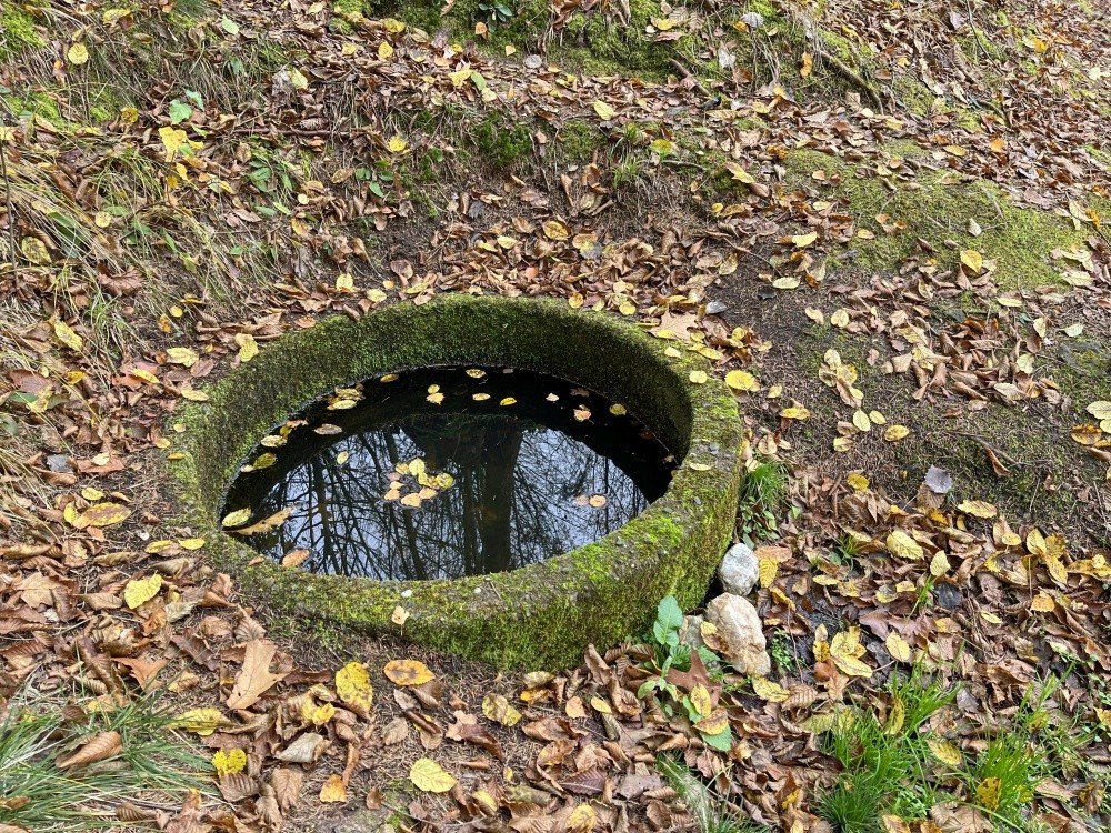 studánka bez jména (15339) - říjen 2024