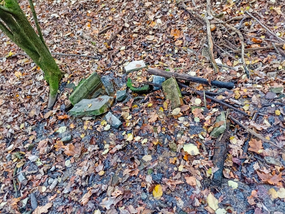 studánka V Zámecké Rokli  (15345) - listopad 2024