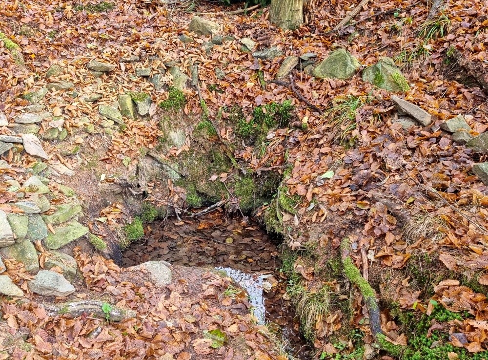 studánka bez jména (15355) - listopad 2024