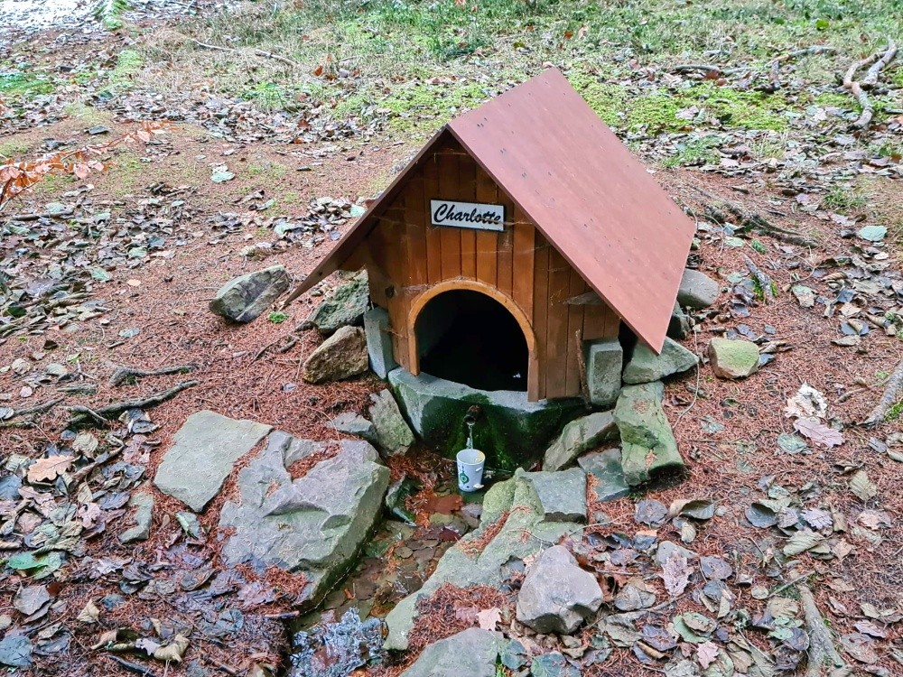 studánka Charlotte (15360) - prosinec 2024