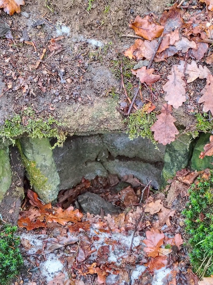 studánka Pod Liboušem (15369) - leden 2026