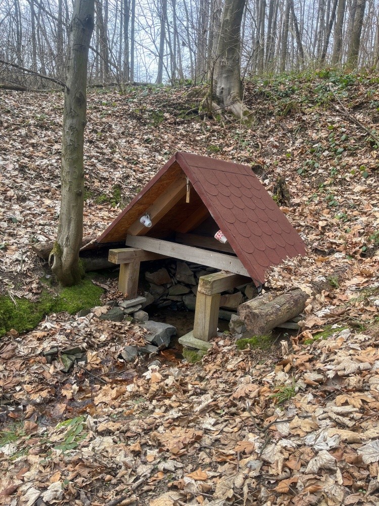 studánka bez jména (15384) - únor 2025