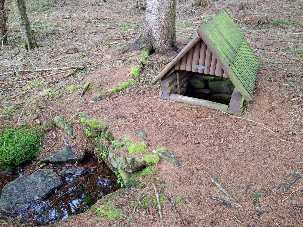 studánka bez jména (15386) - leden 2025