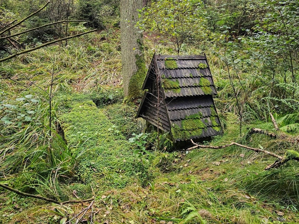 studánka Borkovnická (15388) - únor 2025