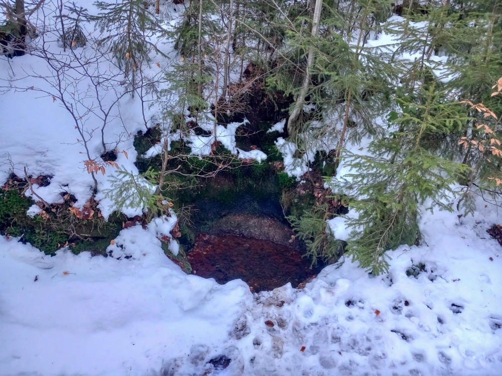 studánka Tůňka u cesty (15394) - leden 2025