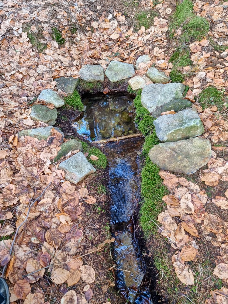 studánka Pod Trávnickým vrchem (15396) - březen 2025