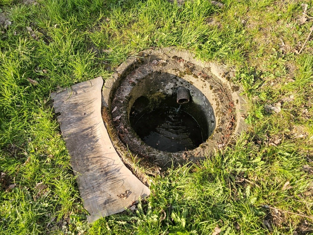 Býšťská studánka (15437) - duben 2025