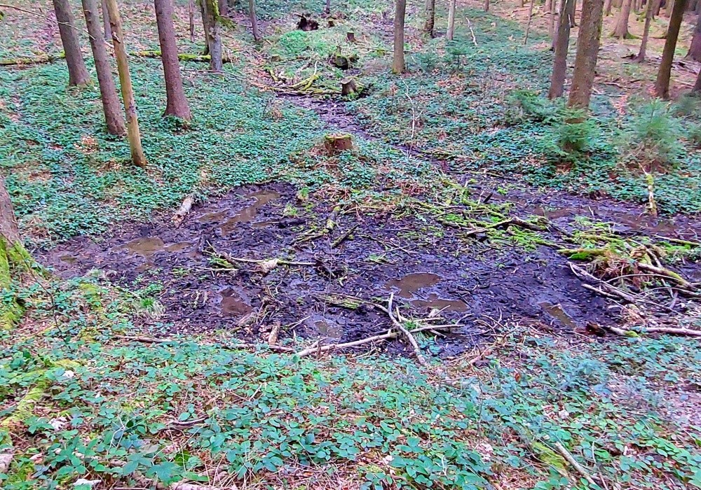 prameniště Střední Jelenice (15438) - duben 2025