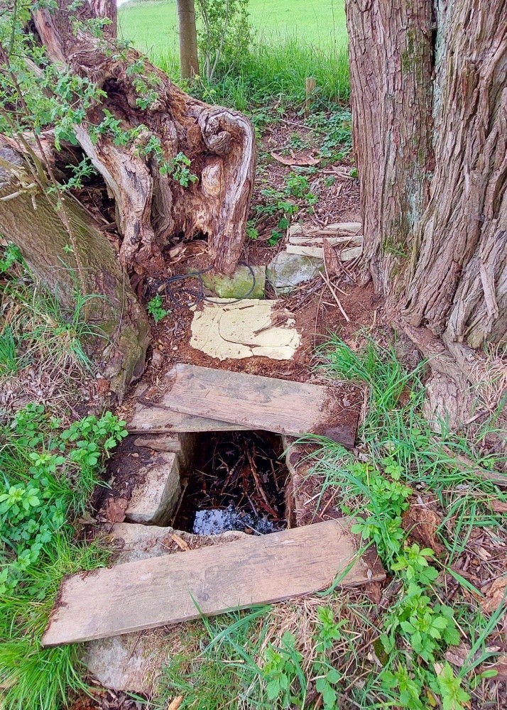 Benešova studánka (15439) - duben 2025