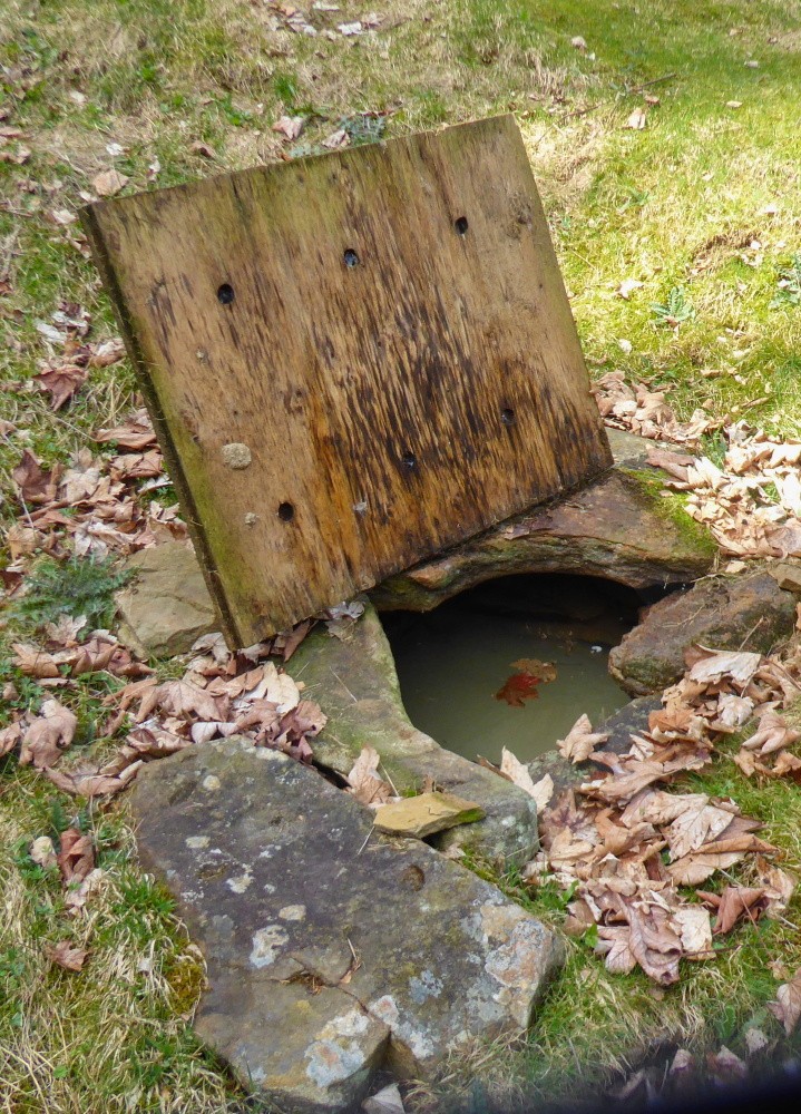 studánka bez jména (15445) - duben 2025