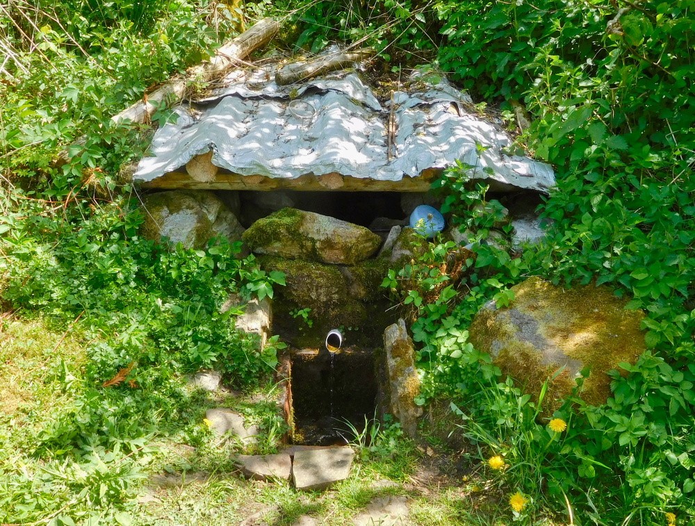 studánka Pod Vysekancem (15474) - květen 2025