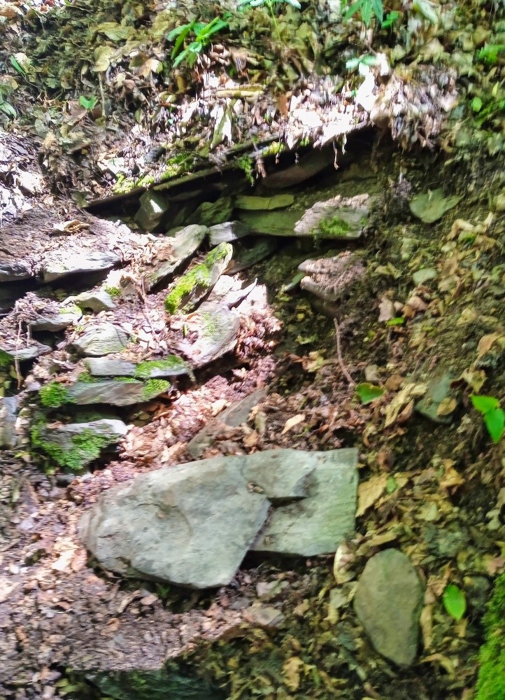 studánka Tulinka (15477) - květen 2025