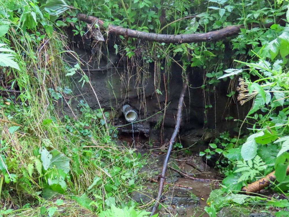 Alojzovská studánka (15499) - červenec 2025