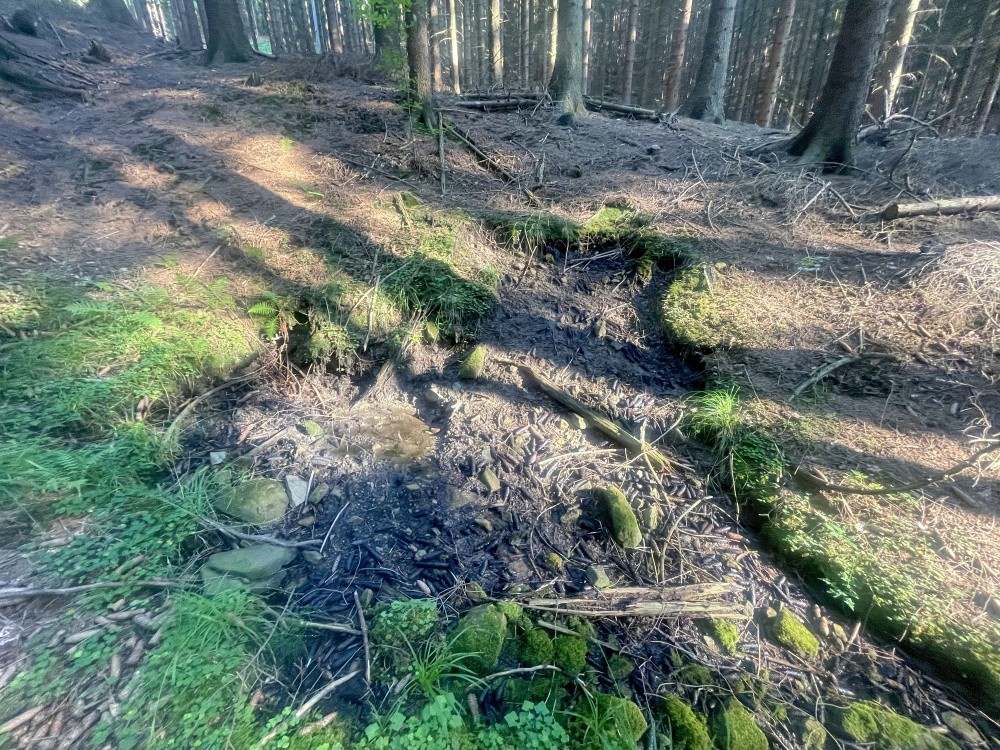 prameniště bez jména (15522) - srpen 2025