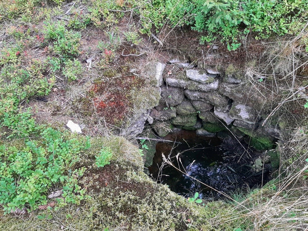 studánka Borůvková (15562) - srpen 2025