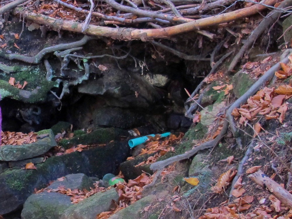 studánka Na Habáňkovém potoce (15586) - listopad 2025