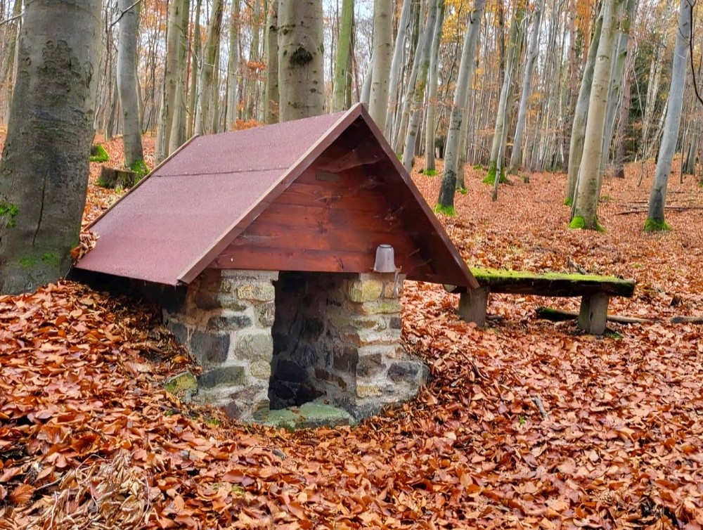 studánka bez jména (15601) - leden 2026