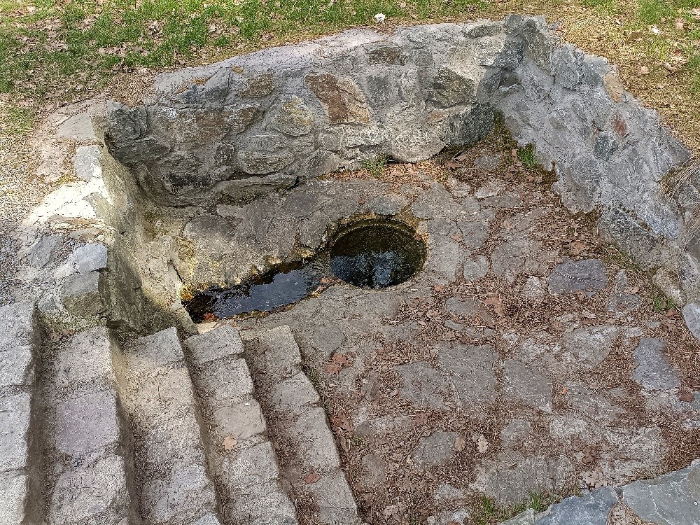studánka bez jména (15625) - leden 2026