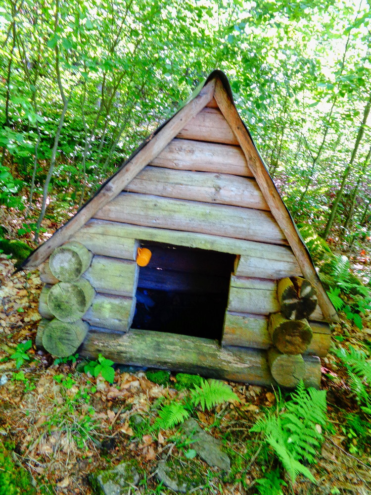 Svatojakubská studánka (15649) - květen 2024