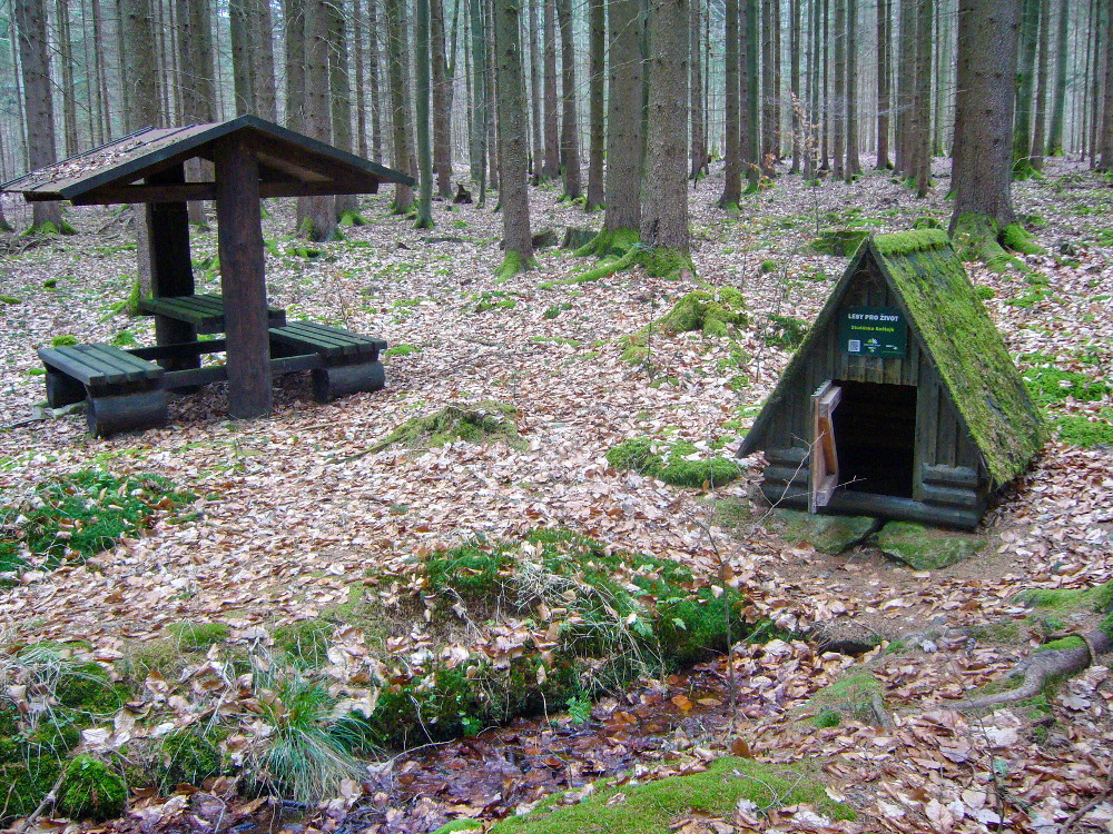 studánka Koštejk (15722) - listopad -0001