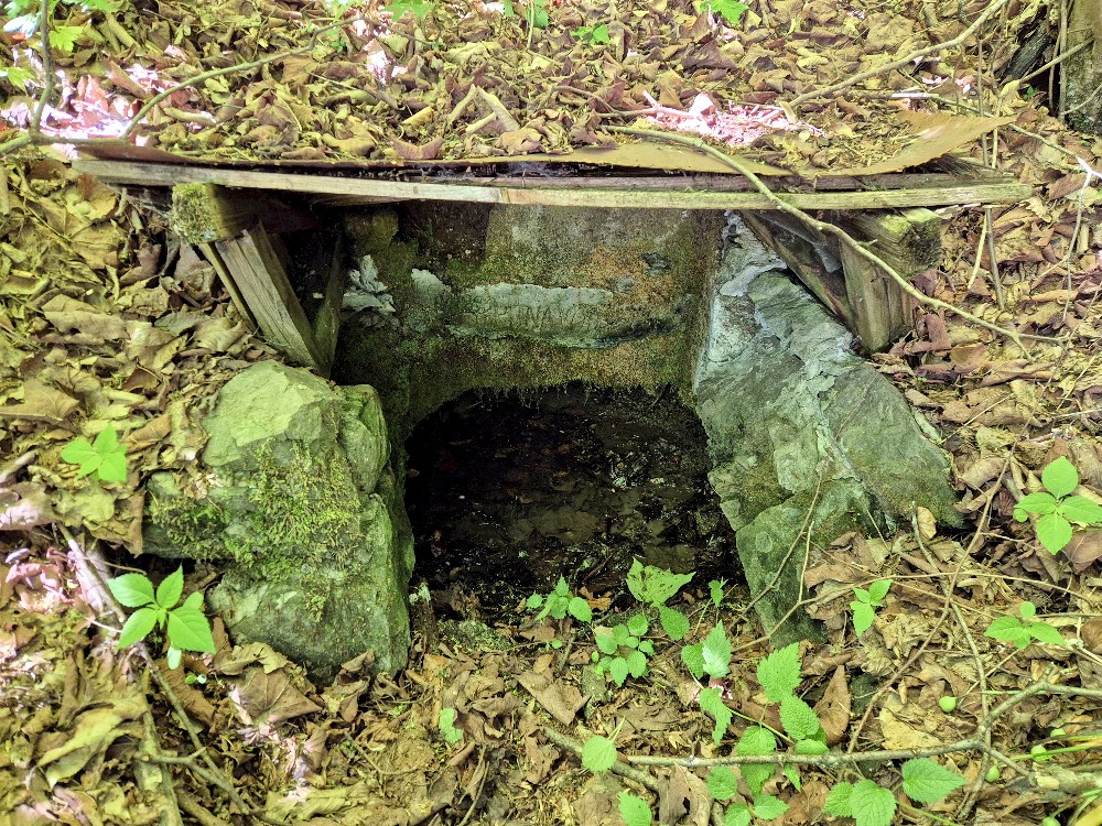 studánka U kempu (15751) - květen 2026