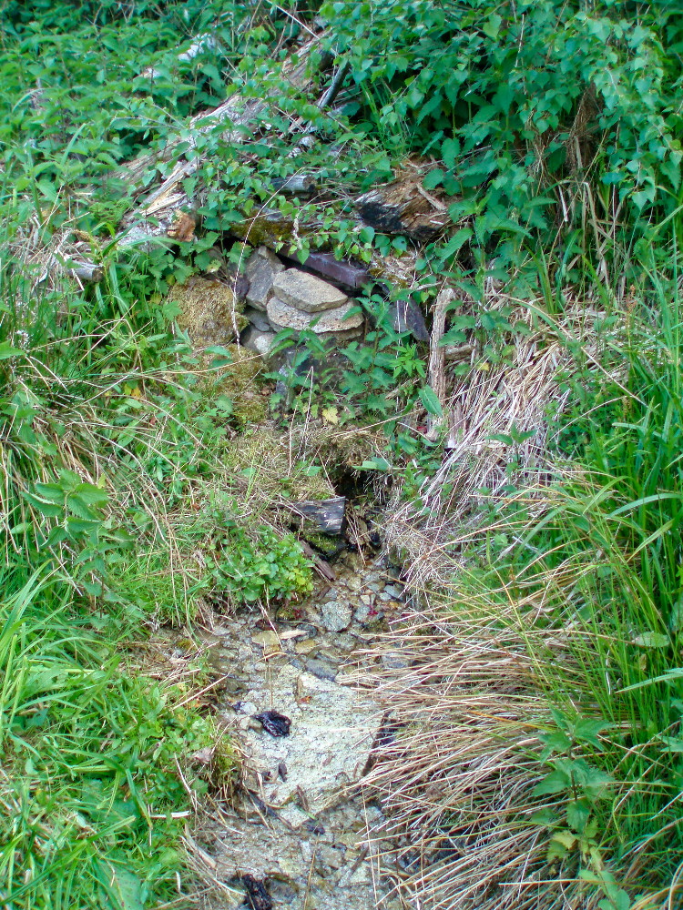 studánka bez jména (15758) - listopad -0001