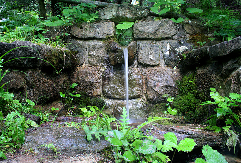 studánka bez jména (1502) - červen 2009