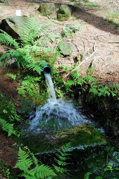 Martinská studánka (1509) - červen 2009