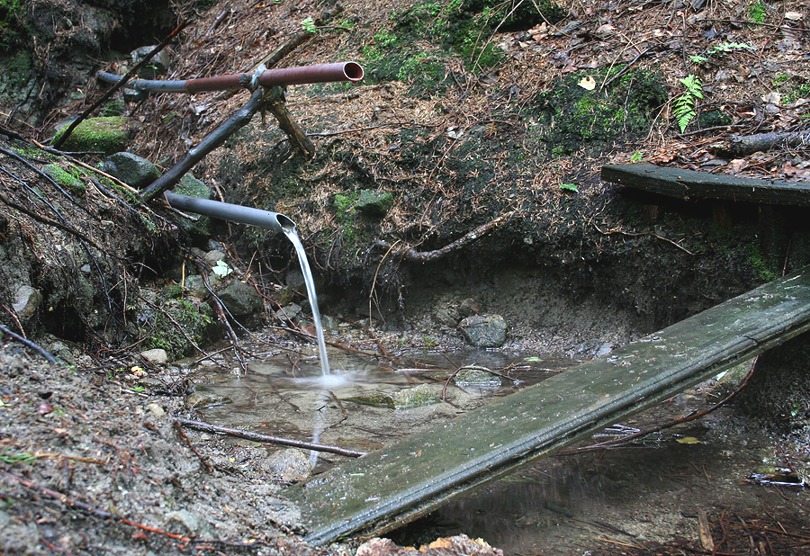 pramen Končiny (1519) - červenec 2009