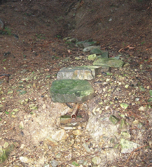 pramen Pod Žárem (1527) - červenec 2009