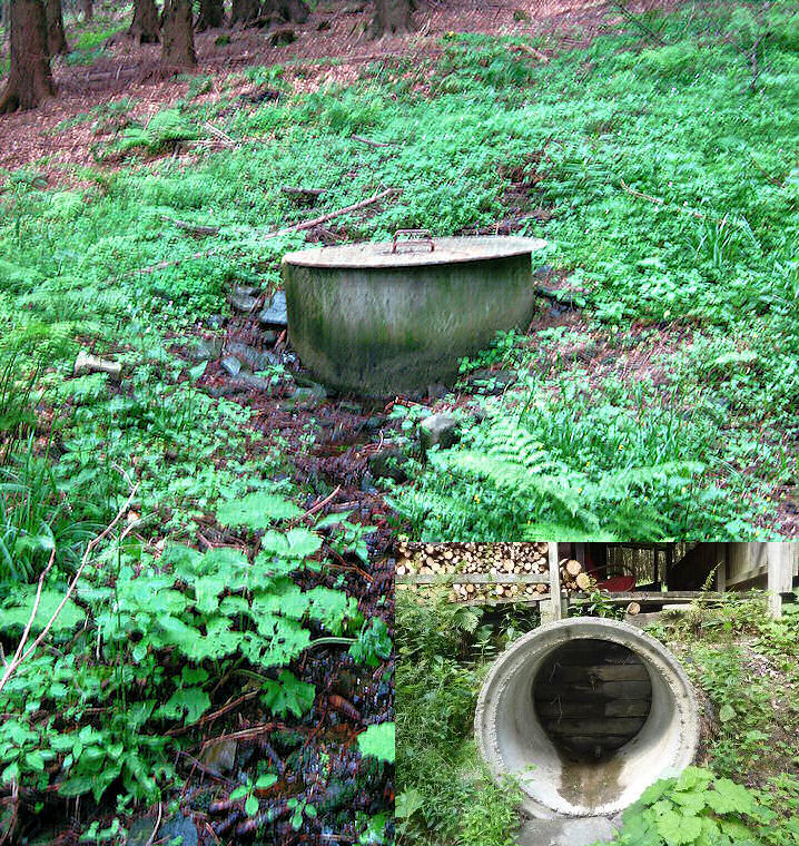 studna Travenská chata (1539) - červenec 2009