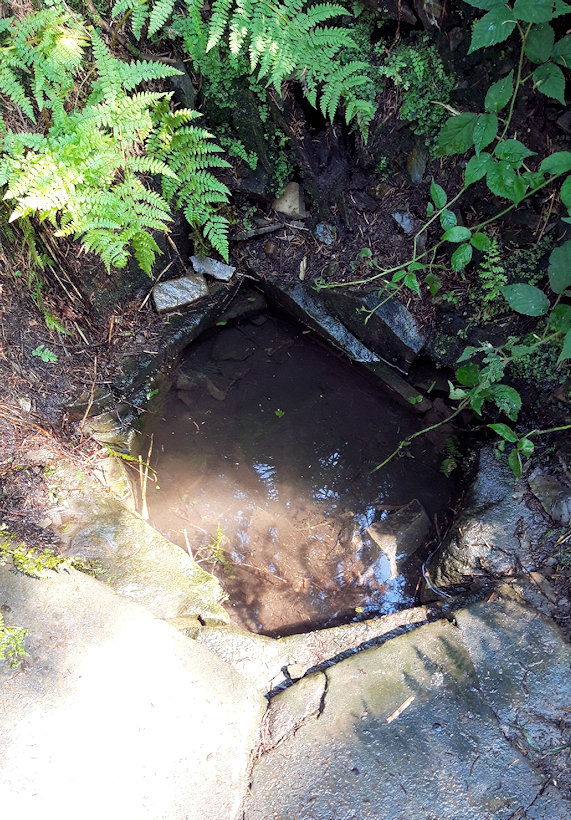 studánka Radhoštnice (1540) - datum neznámé