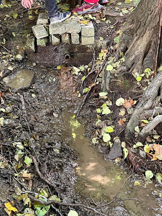 studánka Lysinka (1548) - datum neznámé