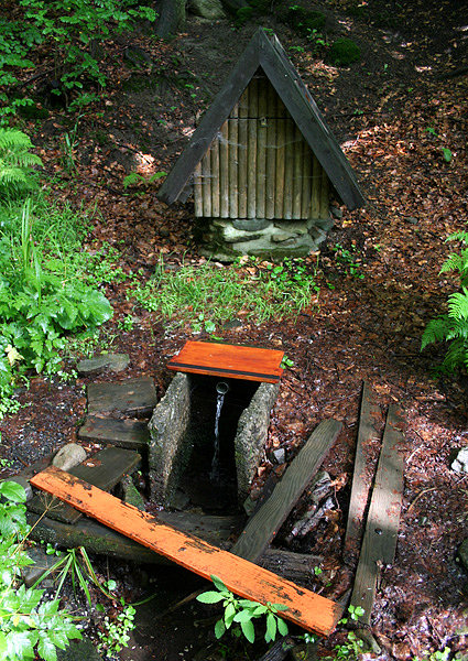 studánka V Mokrém (1554) - květen 2024