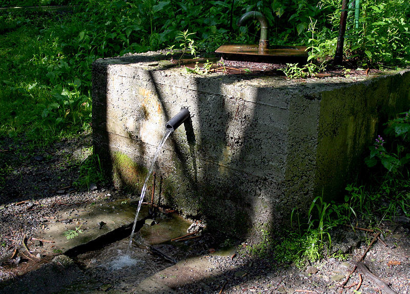 jiný vodní zdroj Pod Javorníkem (1555) - červenec 2009