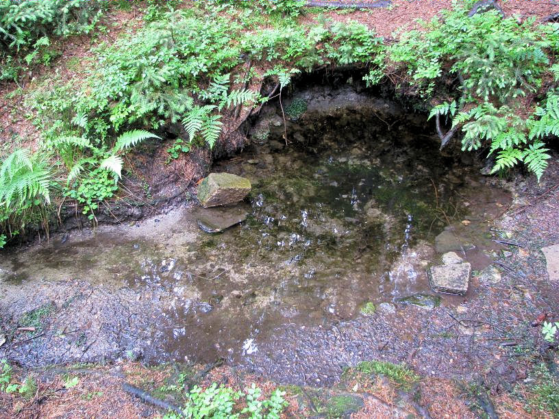 Akvaristická studánka (1557) - červenec 2009