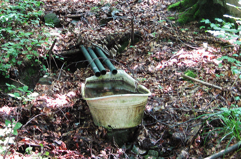 pramen Pod Hajdovými pasekami (1561) - červenec 2009