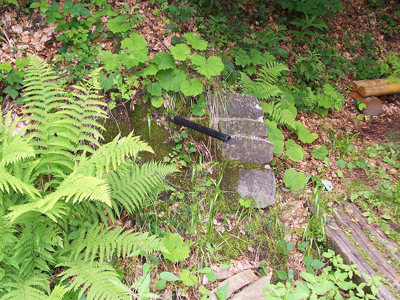 studánka V údolí Mečůvky (1574) - červenec 2009