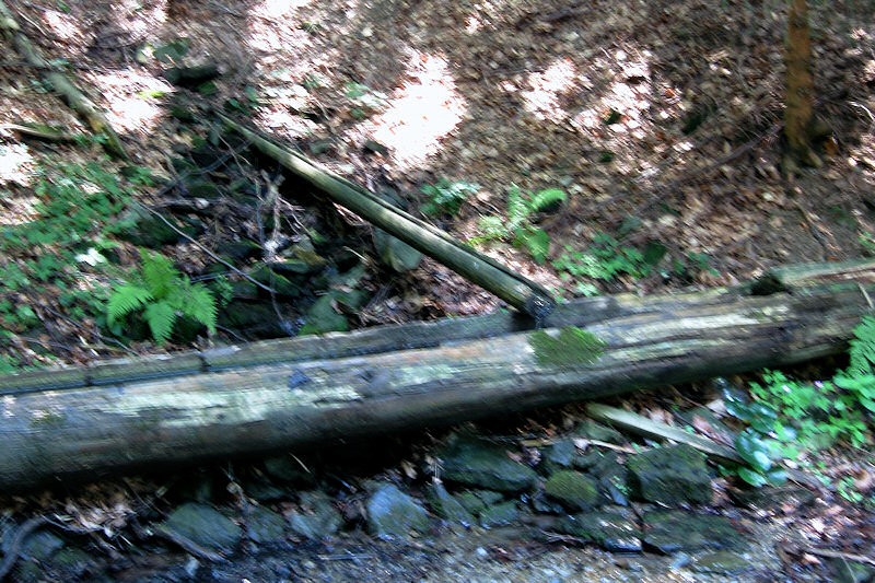 pramen Losový (1599) - červenec 2009