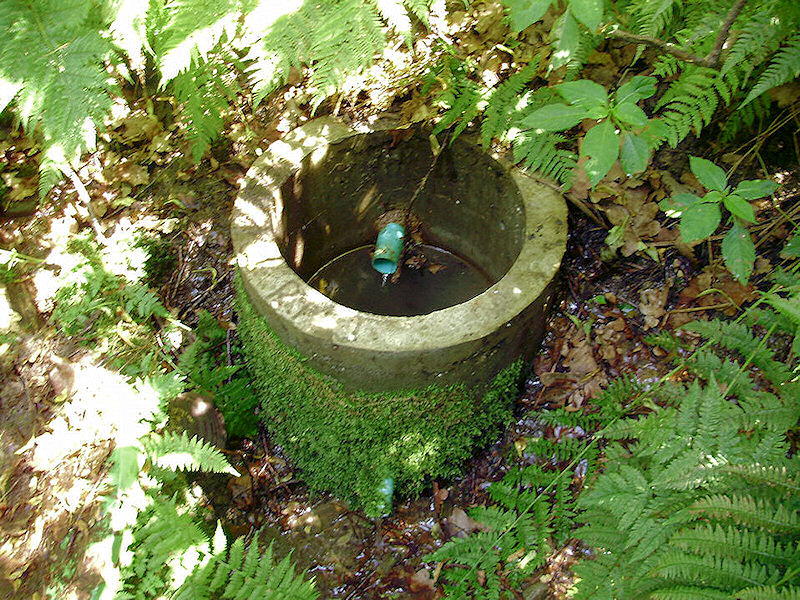 studánka Pod Soutokem (1608) - červenec 2009