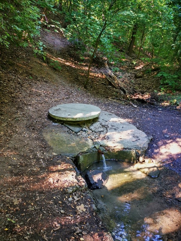studánka Prdlavá (1623) - červenec 2023